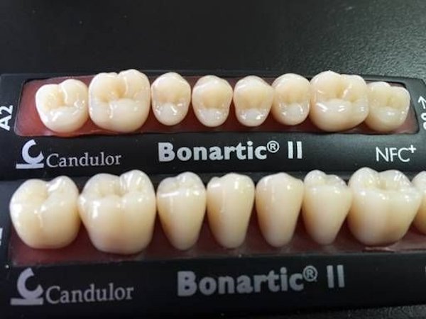 Image of Posterior Teeth For Custome Dentures